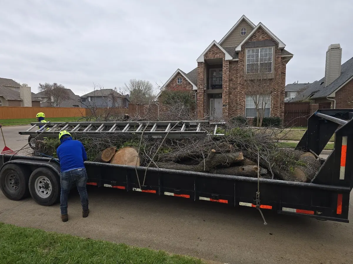Expert Tree Fertilization with proper safety equipment in Holbrook